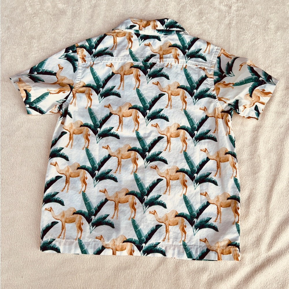 JANIE and JACK | OLD NAVY Short Sleeve Shirt & 2-Piece Swim Set | 2T | Preowned - Picture 6 of 10
